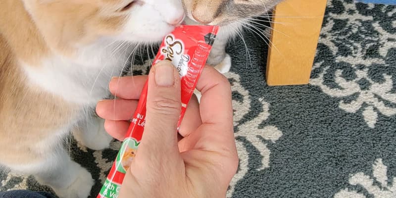 Amazon Hartz Delectables Squeeze Up Cat Treats Review The Kitchn